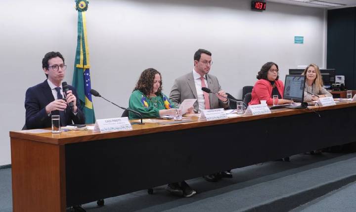 Participantes de audiência apontam falta de apoio a ONGs de animais e superlotação de abrigos