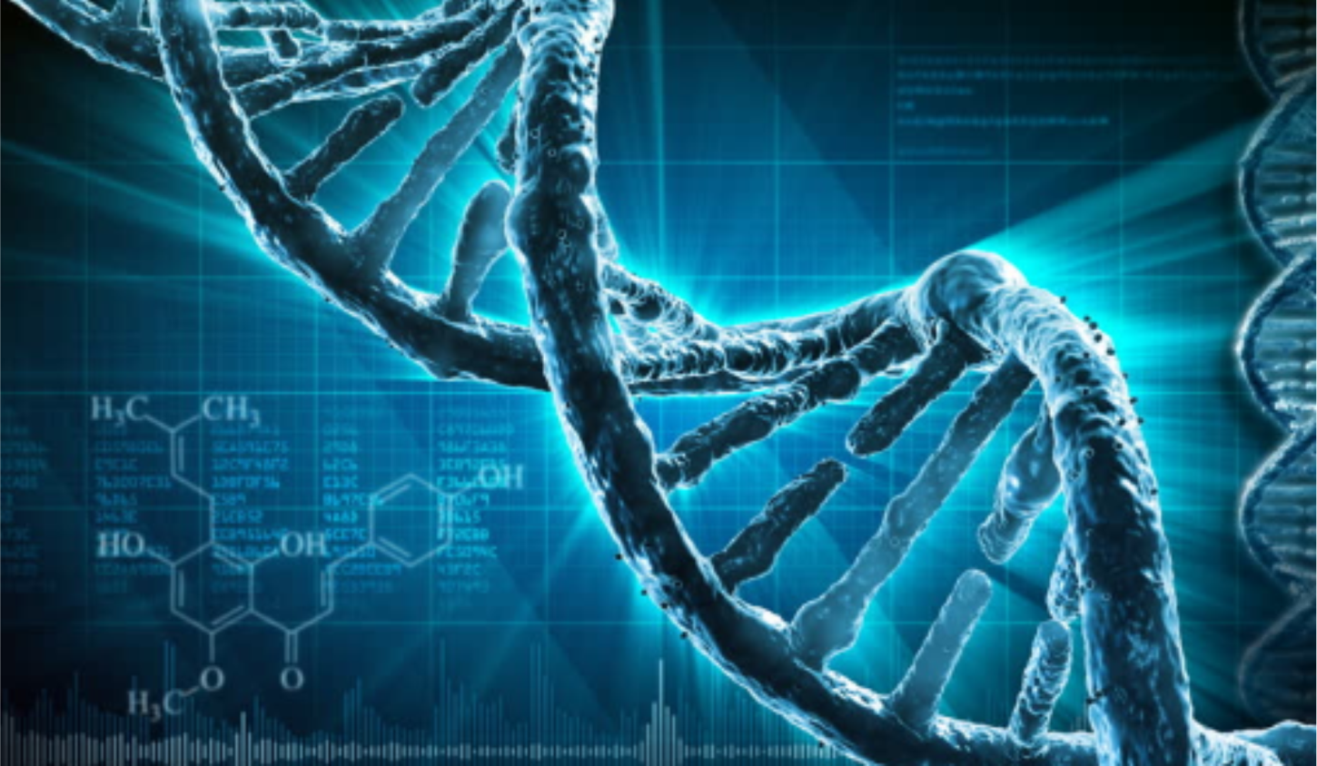 BIORRESONANCIA QUÂNTICA