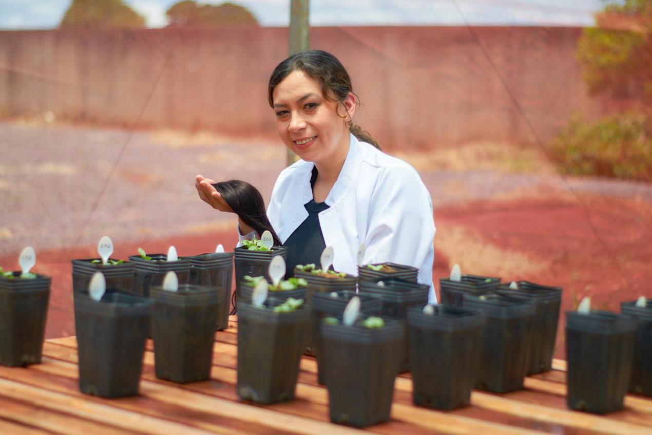 Pesquisa da Unioeste estuda como transformar cabelo humano em adubo