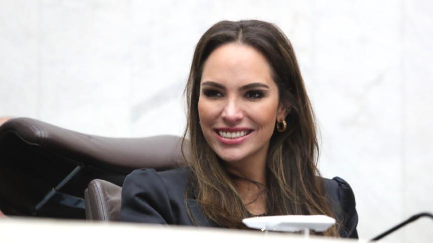 Frente Parlamentar debate capacitação de mão de obra para o setor de hidrogênio renovável